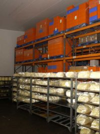 cheese on shelves