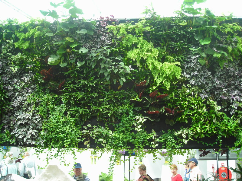 Floriade photo